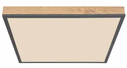 Best LED-Deckenleuchte Doro Deckenleuchten