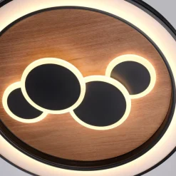 Paul Neuhaus LED-Deckenleuchte Eliza