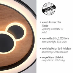 Paul Neuhaus LED-Deckenleuchte Eliza