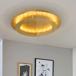 Paul Neuhaus Deckenleuchten|LED-Deckenleuchte Nevis 50cm