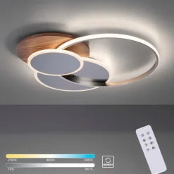 Paul Neuhaus LED-Deckenleuchte Palma