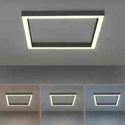 Neuhaus PURE Deckenleuchten|LED-Deckenleuchte PURE-LINES