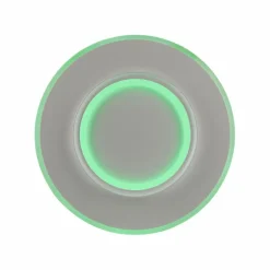 Q SMART HOME LIGHTS Deckenleuchten|LED-Deckenleuchte Q-Kalina