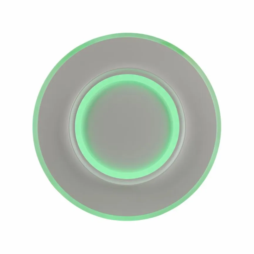 Q SMART HOME LIGHTS Deckenleuchten|LED-Deckenleuchte Q-Kalina