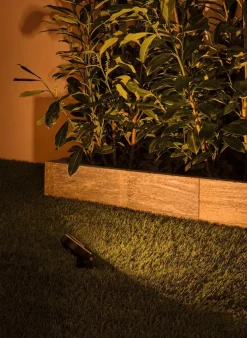 Clearance LED-Erdspieß Plug & Shine Wege- & Bodenleuchten|Wege- & Bodenleuchten