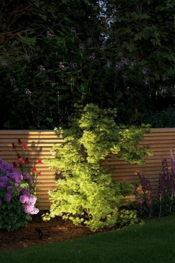 Hot LED-Erdspieß Plug&Shine Wege- & Bodenleuchten|Wege- & Bodenleuchten