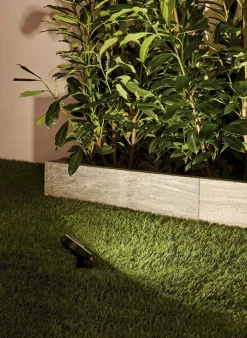 Paulmann Wege- & Bodenleuchten|Wege- & Bodenleuchten|LED-Erdspieß Plug&Shine