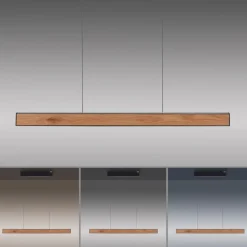 Outlet LED-Pendelleuchte Pure-E-Motion Pendelleuchten