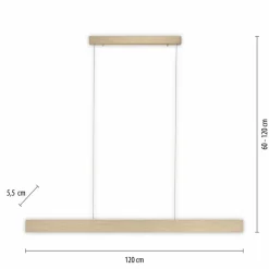 Neuhaus PURE LED-Pendelleuchte Pure-Motion