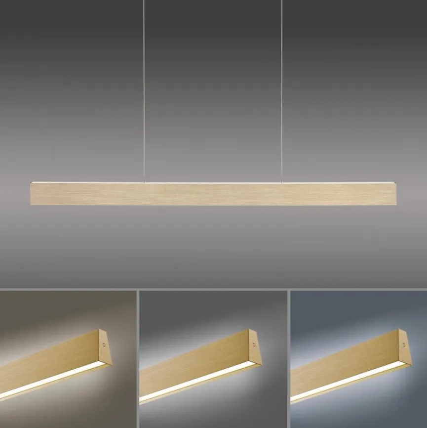 Neuhaus PURE LED-Pendelleuchte Pure-Motion