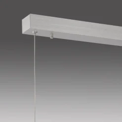 Neuhaus PURE LED-Pendelleuchte Pure-Motion