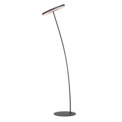 Paul Neuhaus Stehlampen|LED-Stehlampe Titus