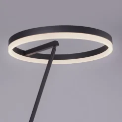 Paul Neuhaus Stehlampen|LED-Stehlampe Titus