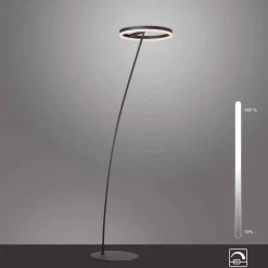 Paul Neuhaus Stehlampen|LED-Stehlampe Titus