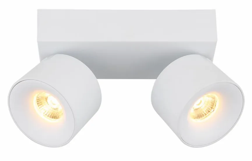 Globo LED-Strahler Rae