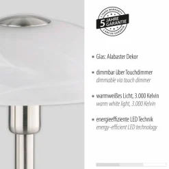 Paul Neuhaus LED-Tischleuchte Enova