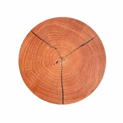 ELOBRA Wandleuchten|LED-Wandleuchte Havana