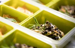 emsa Lunchbox Clip&Go 1200 ml