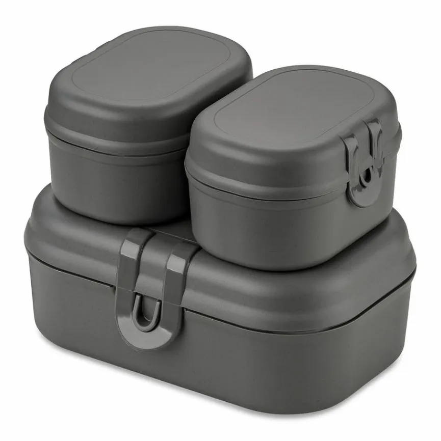 Koziol Lunchbox Pascal Ready 3tlg.