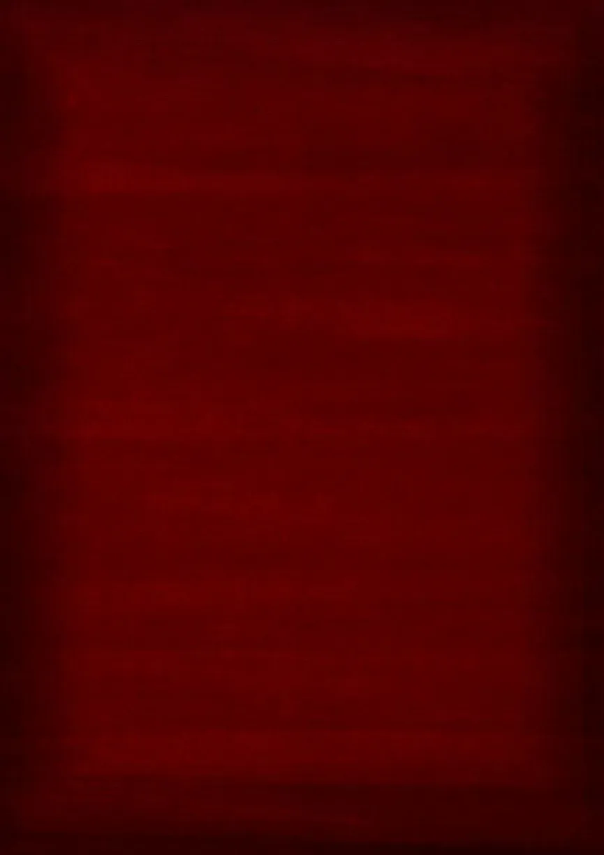 Best Nepalteppich Prestige New 120 x 180 cm Natur(Look) Teppiche