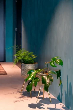 Zuiver Pflanzenkübel & Blumentöpfe|Pflanzkübel Botanique