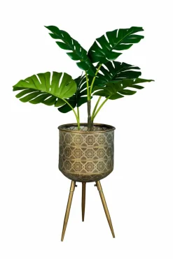 Zuiver Pflanzenkübel & Blumentöpfe|Pflanzkübel Botanique