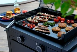 Forge Adour Elektrogrills|Plancha Modern Elektro Plancha 60