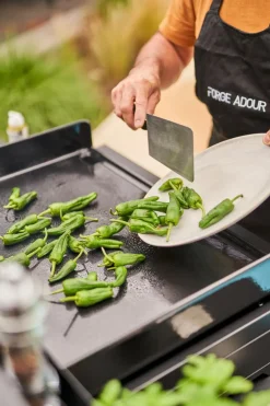 Forge Adour Planchagrills|Plancha Premium Gas Plancha 75
