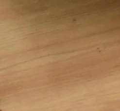 Hot Regal Sticks Regale