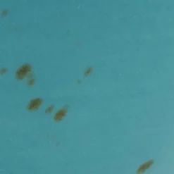 CreaTable Schale Buddha Bowl