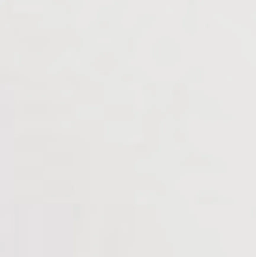 Online Schale Cactus Ø 29 cm Obstschalen