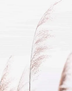 Outlet Schiebevorhang Pamilo 3er-Set Vorhänge & Gardinen