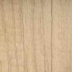 Kinder Paidi Kinder- & Jugendschreibtische|Kinder- & Jugendschreibtische|Schreibtisch Diego