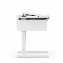 Kinder Moll Kinder- & Jugendschreibtische|Kinder- & Jugendschreibtische|Schreibtisch e-Champion