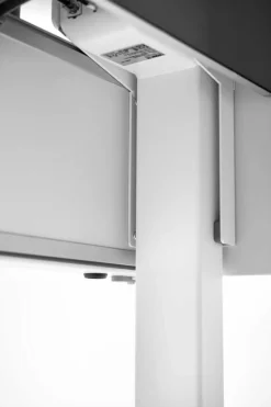 Kinder Moll Kinder- & Jugendschreibtische|Kinder- & Jugendschreibtische|Schreibtisch e-Champion