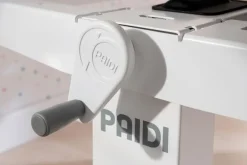 Kinder Paidi Kinder- & Jugendschreibtische|Kinder- & Jugendschreibtische|Schreibtisch Teenio 120