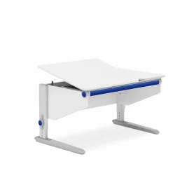 Kinder Moll Schreibtisch Winner Split Classic