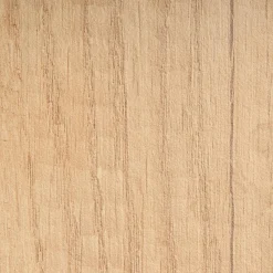 Kinder Paidi Schutzseite Kira