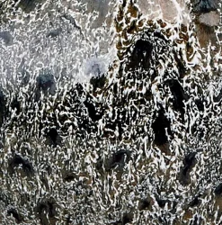 Aquanova Badzubehör|Seifenspender Ugo