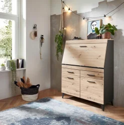 Best Sekretär Secret Sekretäre