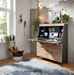 Best Sekretär Secret Sekretäre