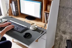 Sekretär Secret Sekretäre