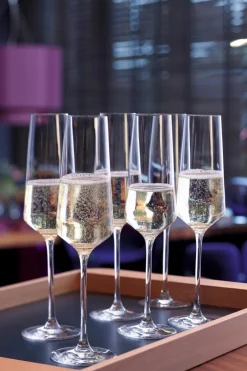 Sale Sektglas Puccini 280 ml Gläser