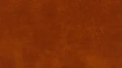 Willi Schillig Sofa 22850 aleXx