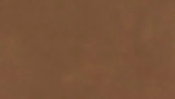 Willi Schillig Sofa 18050 around-the-block