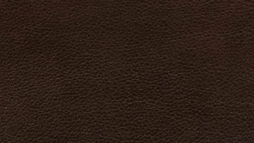 New Sofa Experio - Free Motion Sofas & Couches