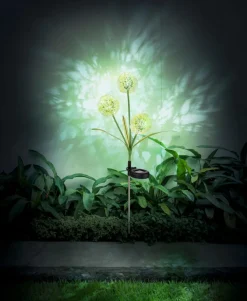 Online Solarleuchte null Led-Solarleuchten|Led-Solarleuchten