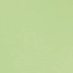 Best Speiseteller Basic Ø 26,8 cm Geschirr