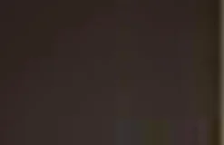 Wittenbreder Spiegel Bari