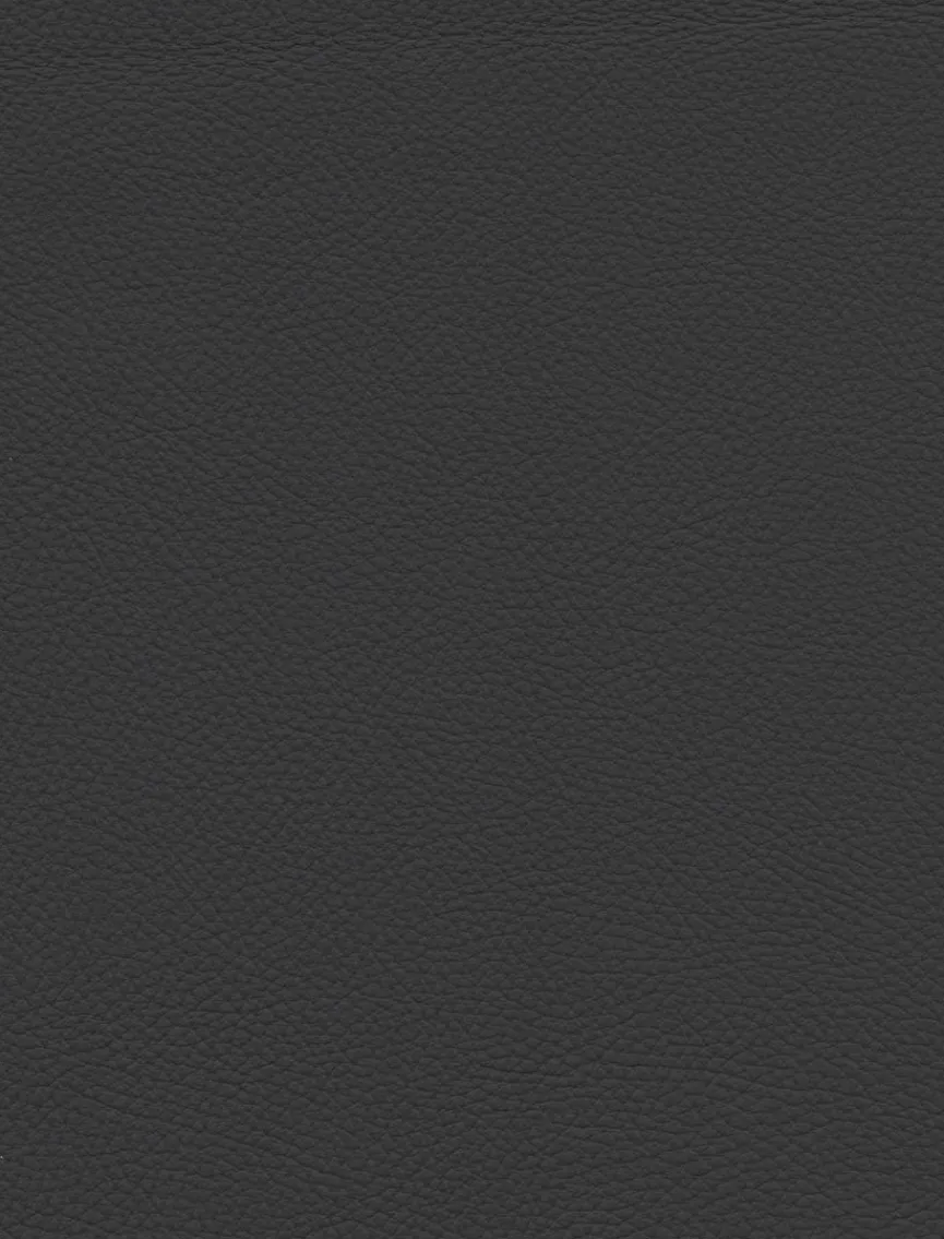 Outlet Stuhl Tacoma Stühle